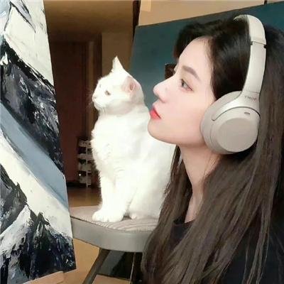 半田君传说